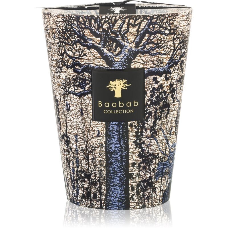 Baobab Collection Sacred Trees Seguela scented candle 24 cm