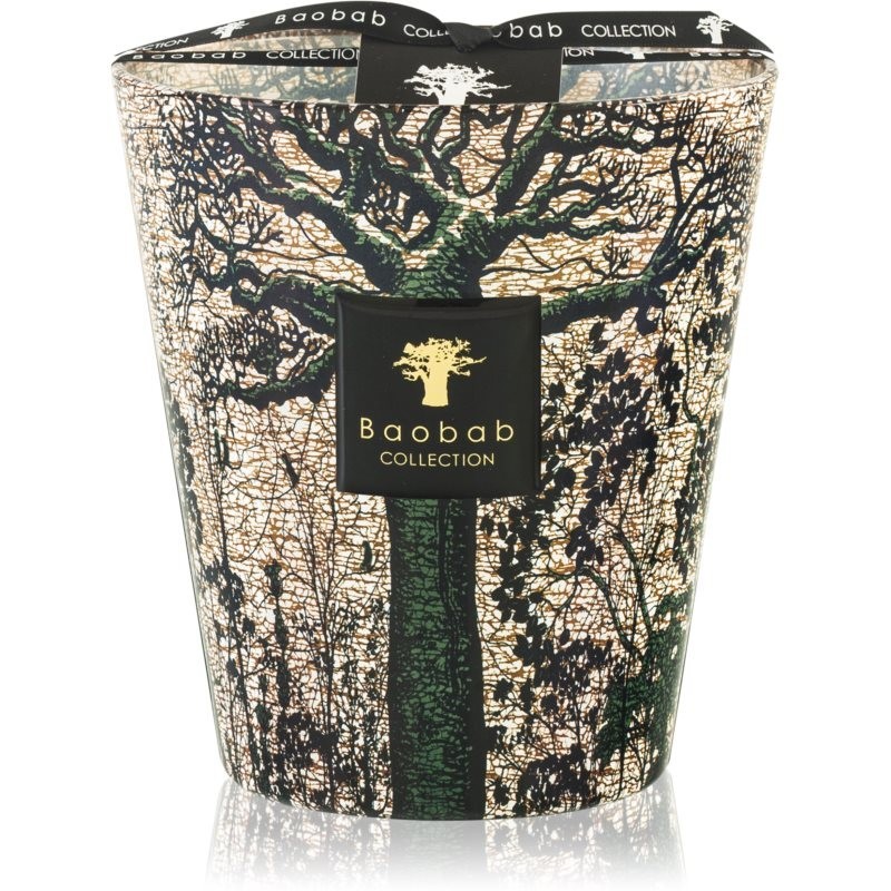 Baobab Collection Sacred Trees Kani scented candle 16 cm