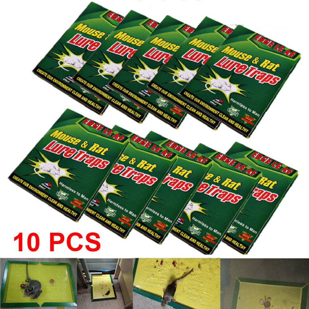 Mouse Glue Trap Pest Rat Boards Sticky Catcher Pads Heavy Duty 10 Pack