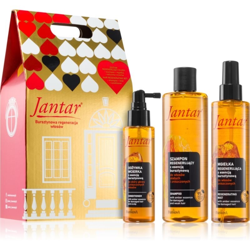 Farmona Jantar Damaged Hair gift set for hair 3 pc