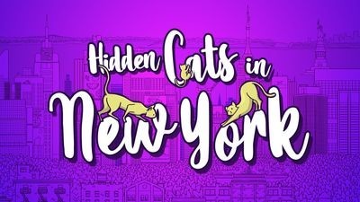 Hidden Cats in New York