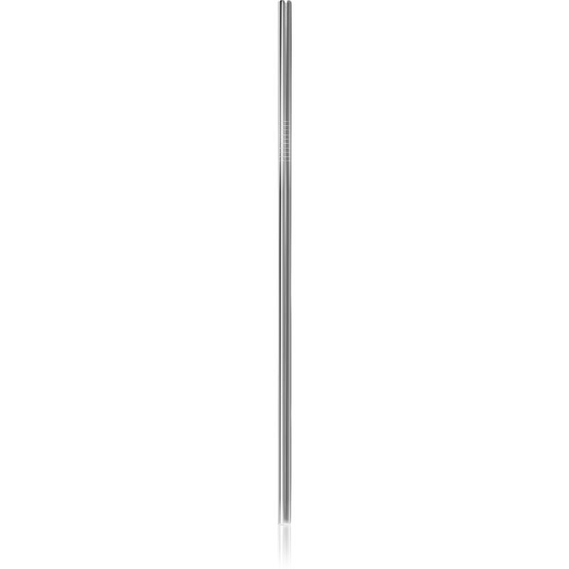 Naturalis Stainless Steel Straw set set (for everyday use)