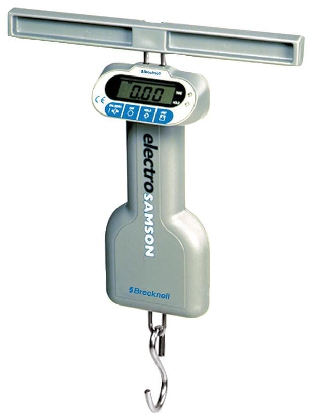 Salter Electrosamson 25Kg Weighing Scale, Handheld, 25Kg X 20G