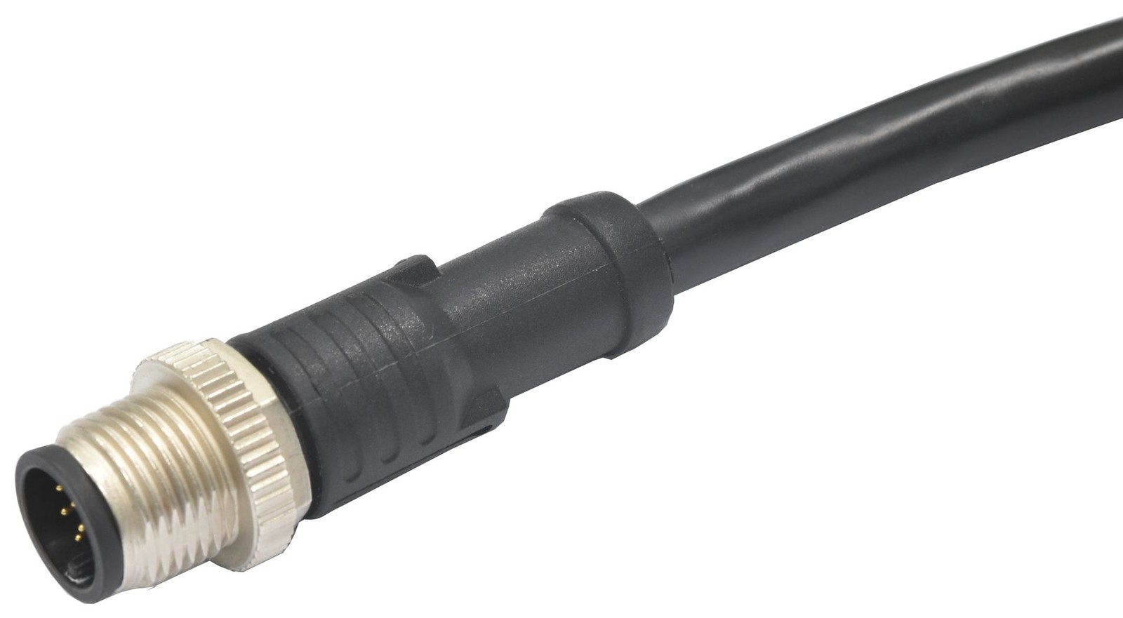 Amphenol LTW M12A-17Bmm-Sl8D02 Sensor Cord, M12 Plug-Free End, 6.6Ft