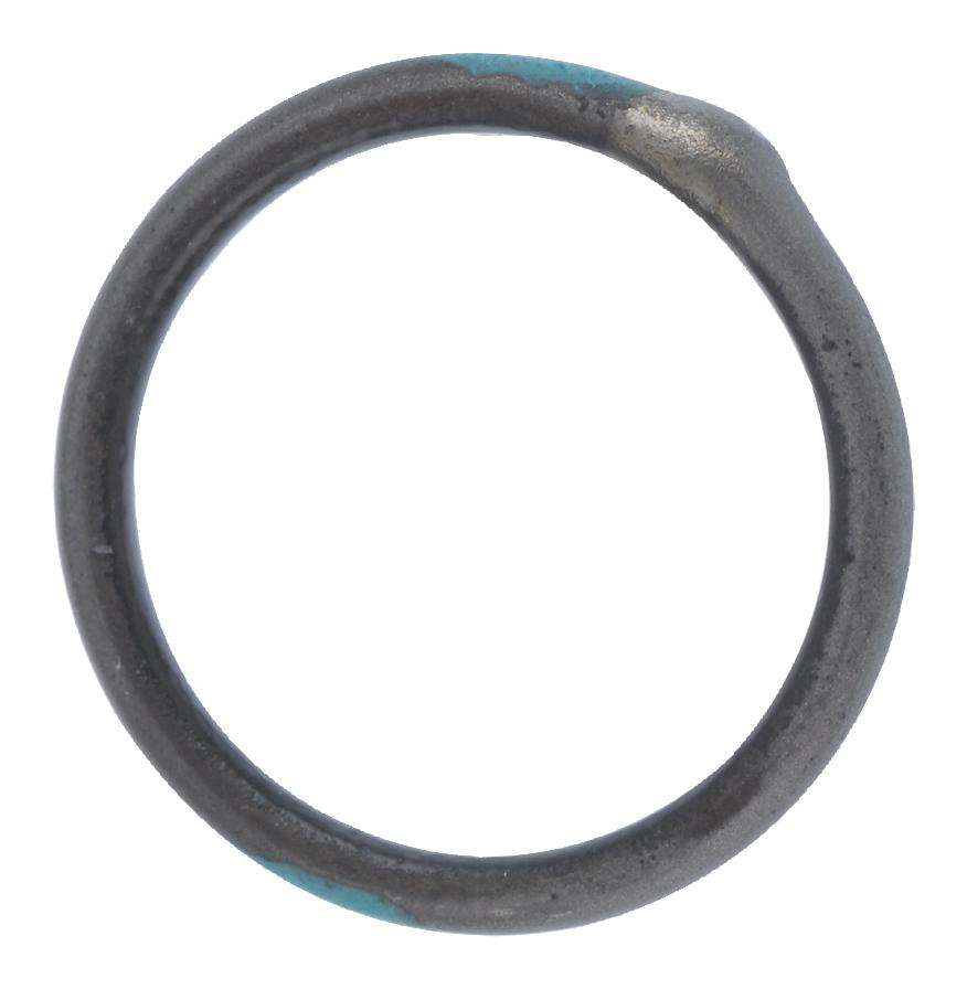 Raychem / Te Connectivity Tr06Bi-Tinel-Lock-Ring Tinel-Lock Ring, Size 6, NIckel/titanium