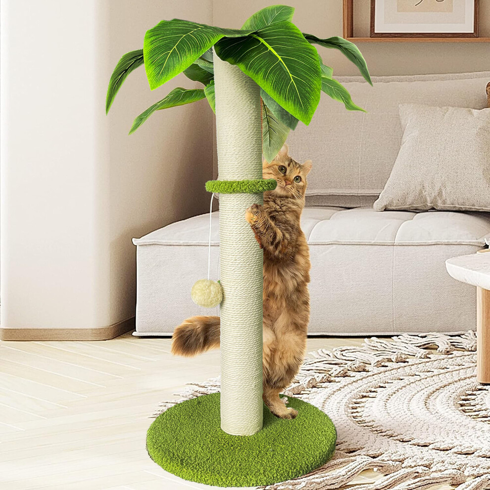 Tall Cat Scratching Post, Large Cat Scratching Board and Ball