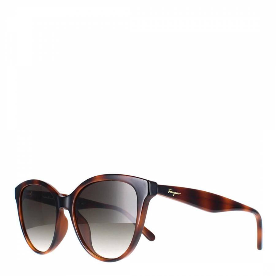 Women's Brown Salvatore Ferragamo Sunglasses 54mm