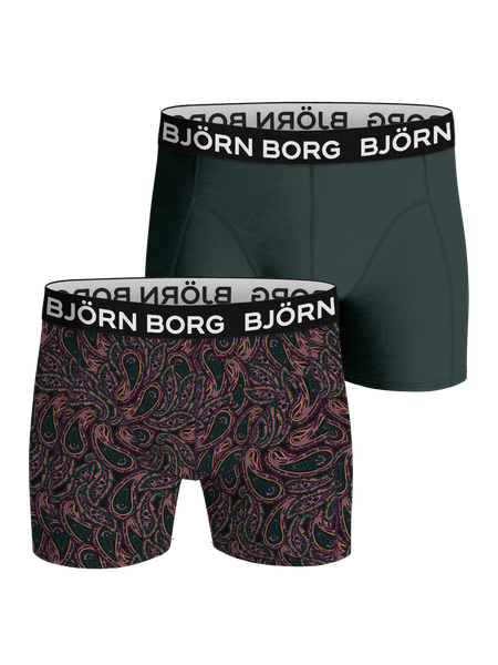 Björn Borg Bamboo Boxer 2-pack Multi, L