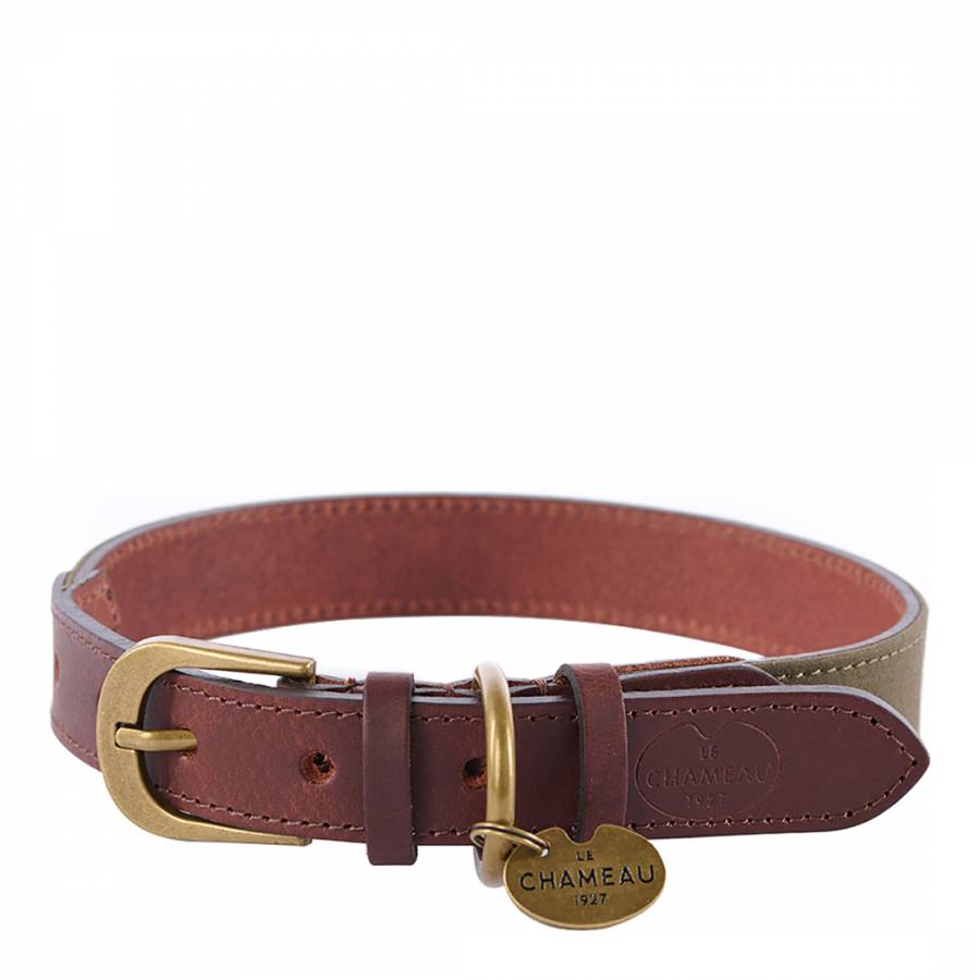 Extra Large Waxed Cotton/Leather Dog Collar Vert Chameau