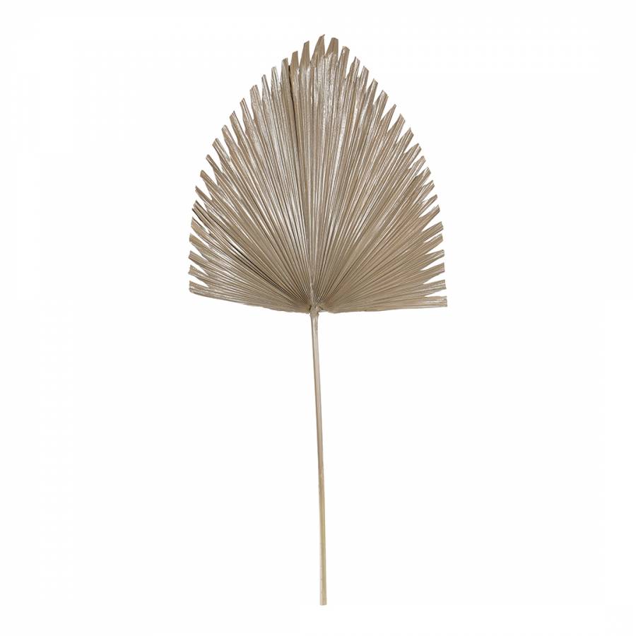 Arrowhead Palm Leaf Brown