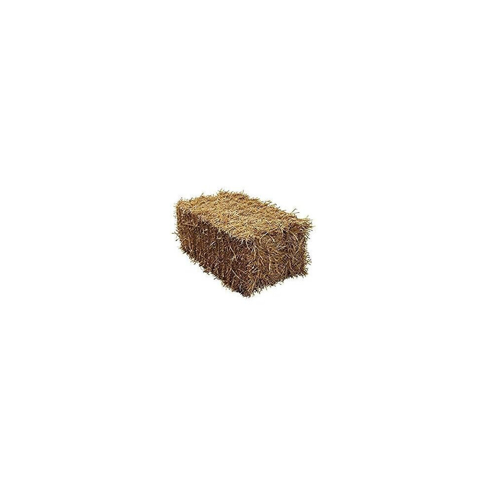 Shorefields Barley Straw Full Bale - 100x50x40cm - 15kg -20kg Feed Quality, Compact, Fresh, Packaged Straw