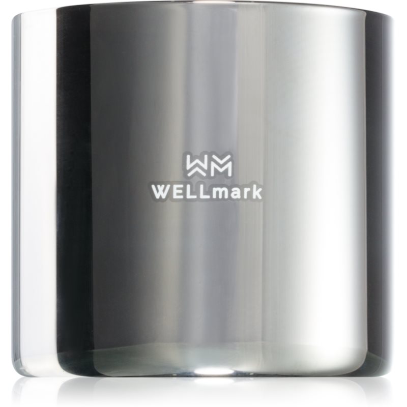Wellmark Bold Future scented candle 1 pc