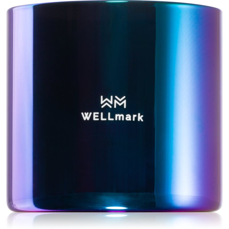 Wellmark Better Silk scented candle 1 pc