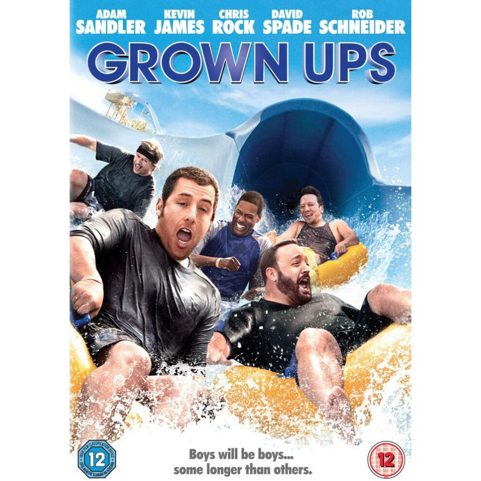 Grown Ups [2011] (DVD)