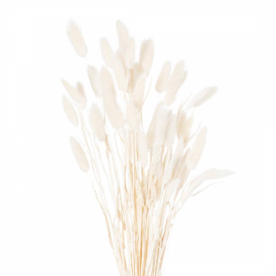 Faux Dried White Bunny Tail Flowers Bunch Of 60