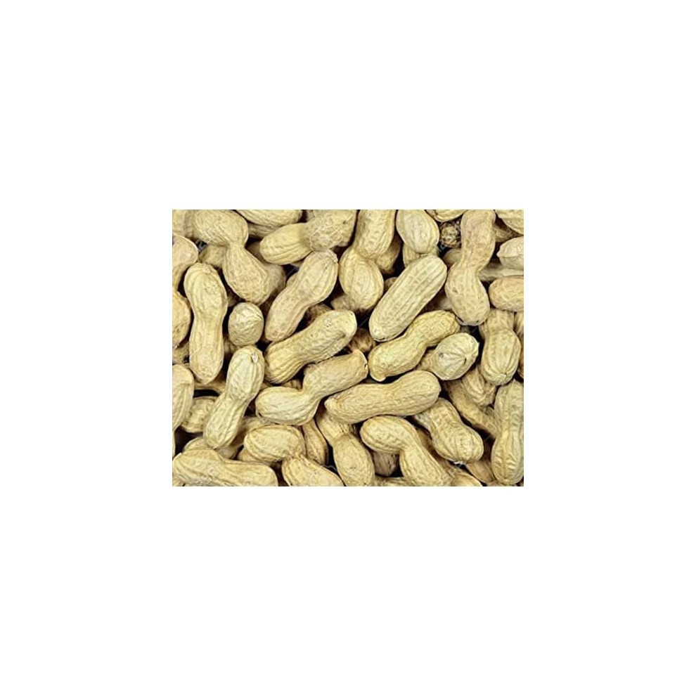 Maltbys' Stores 1904 Limited Peanuts in Shells 10kg Premium Safe Wild Bird Food Monkey Nuts Afflotoxin Free