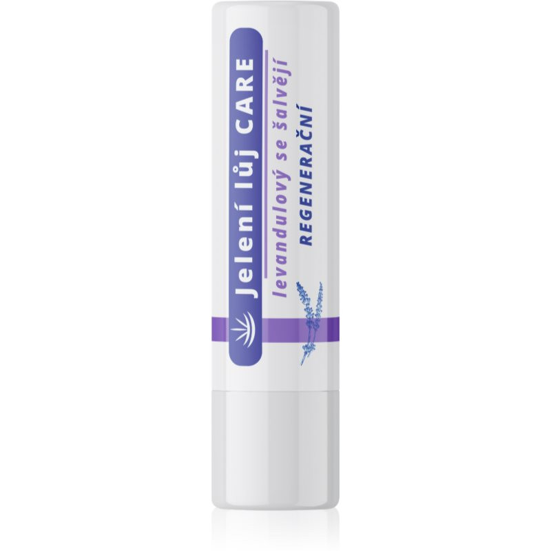 Regina Care Lavender repair lip balm 4,5 g
