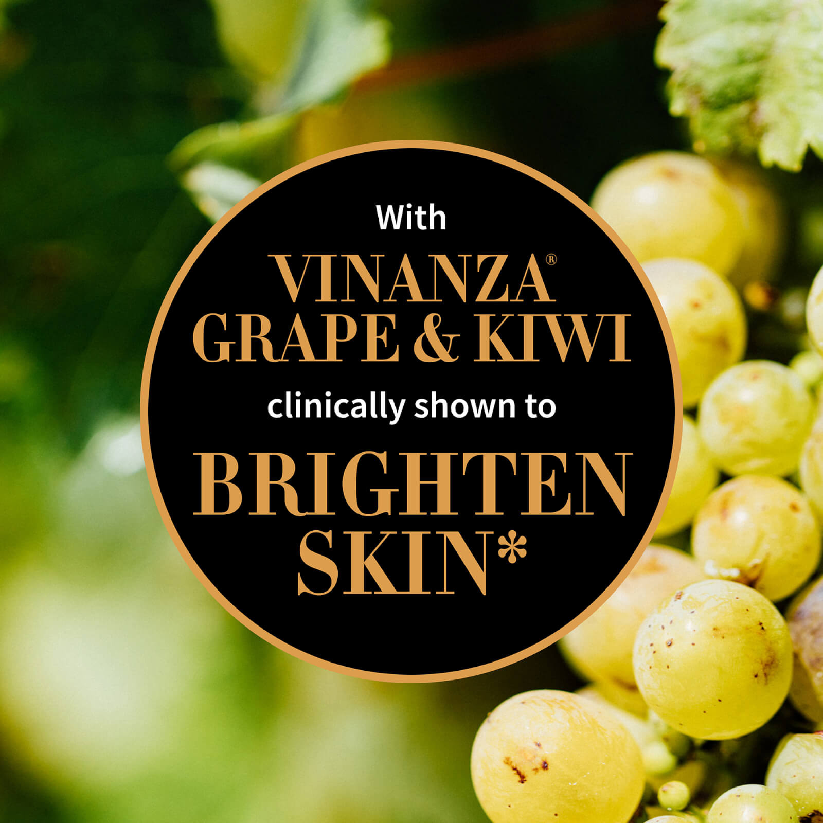 Mini Manuka Honey Skin-Brightening Light Day Cream 15ml
