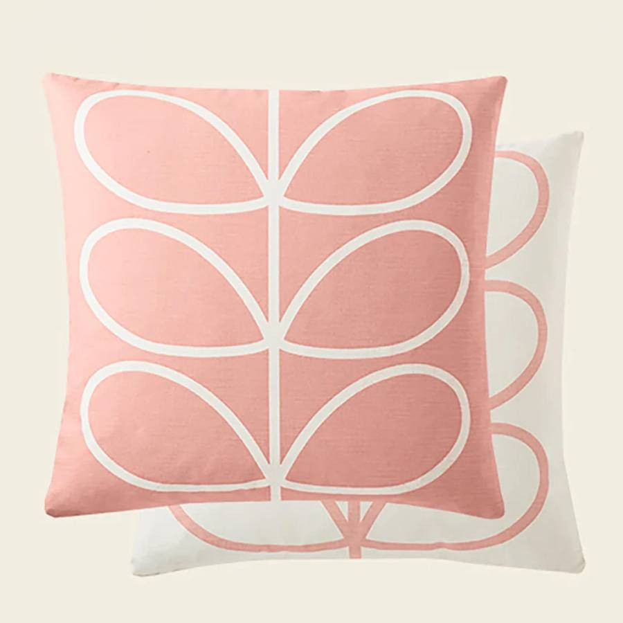 Reversible Linear Stem Pale Rose Scatter Cushion 45x45cm