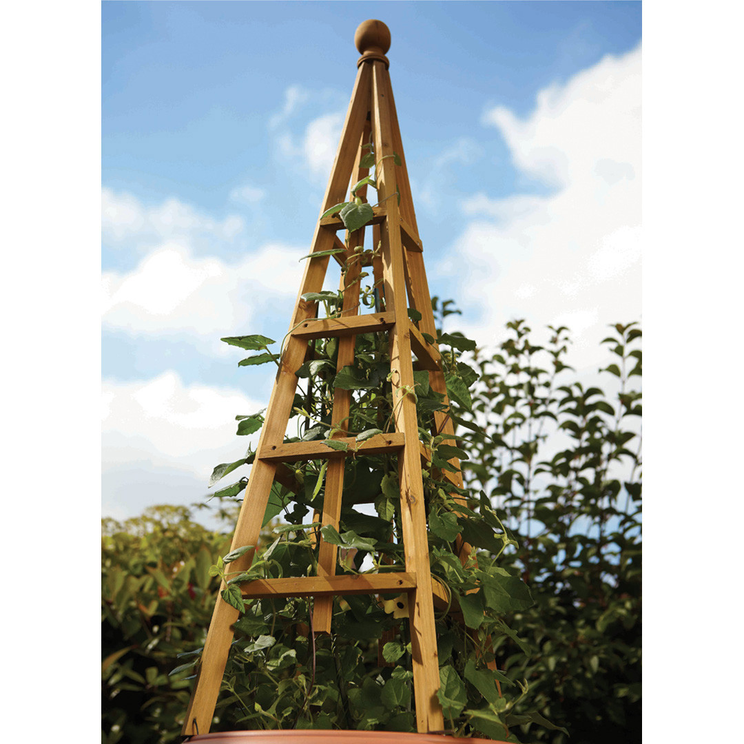 Woodland 1.9m Obelisk Tan