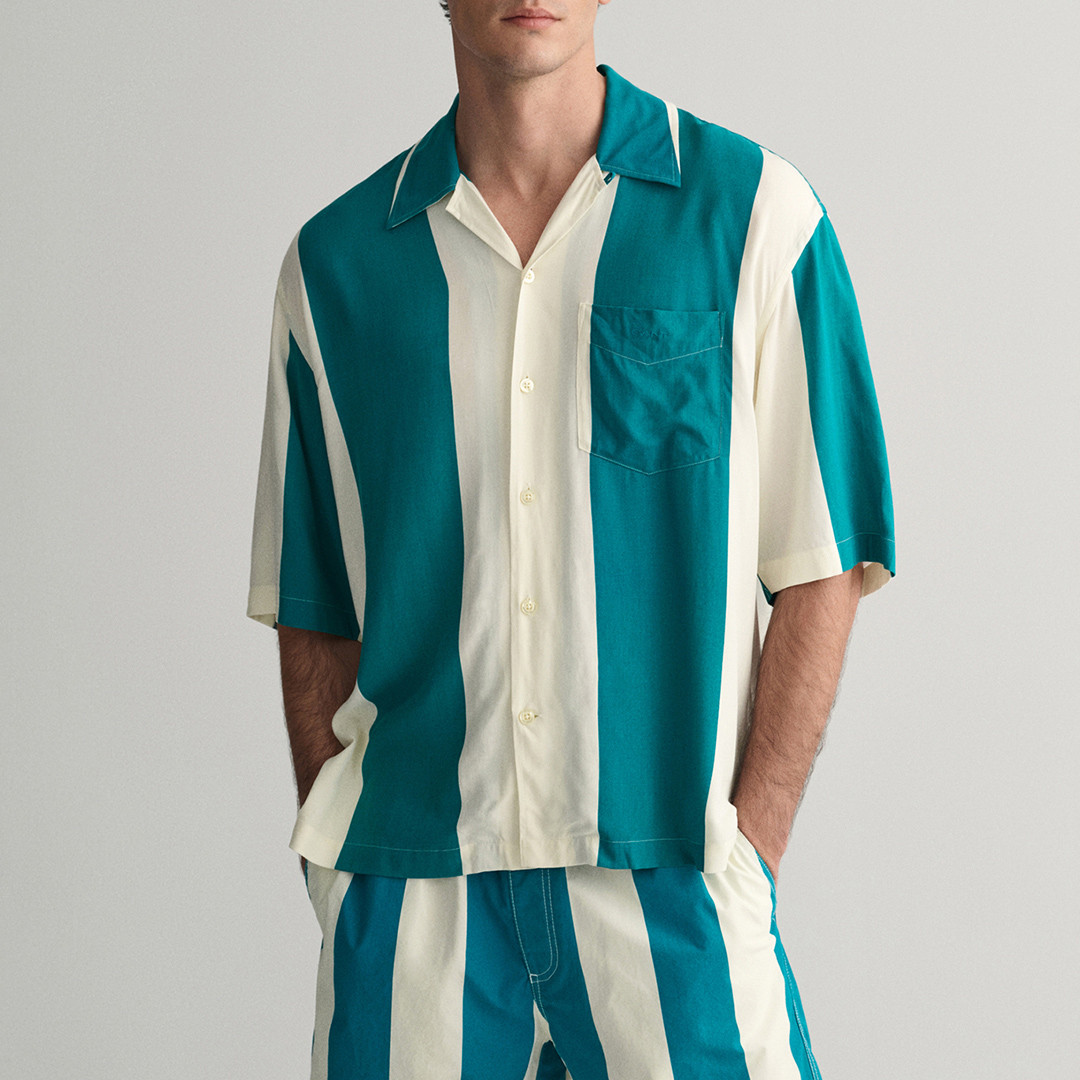 Blue Camp Collar Boxy Stripe Shirt