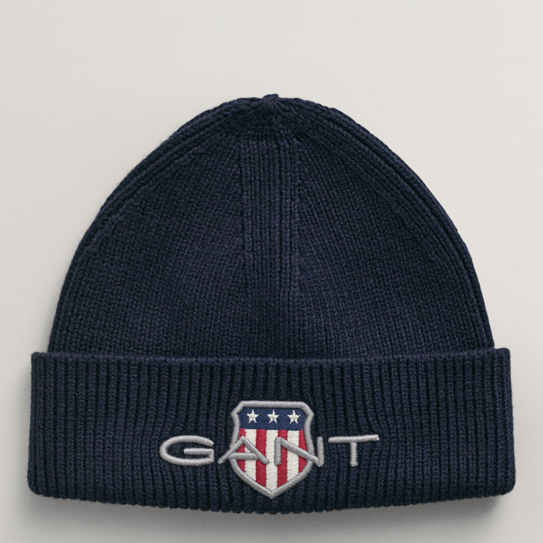 Blue Archive Shield Beanie