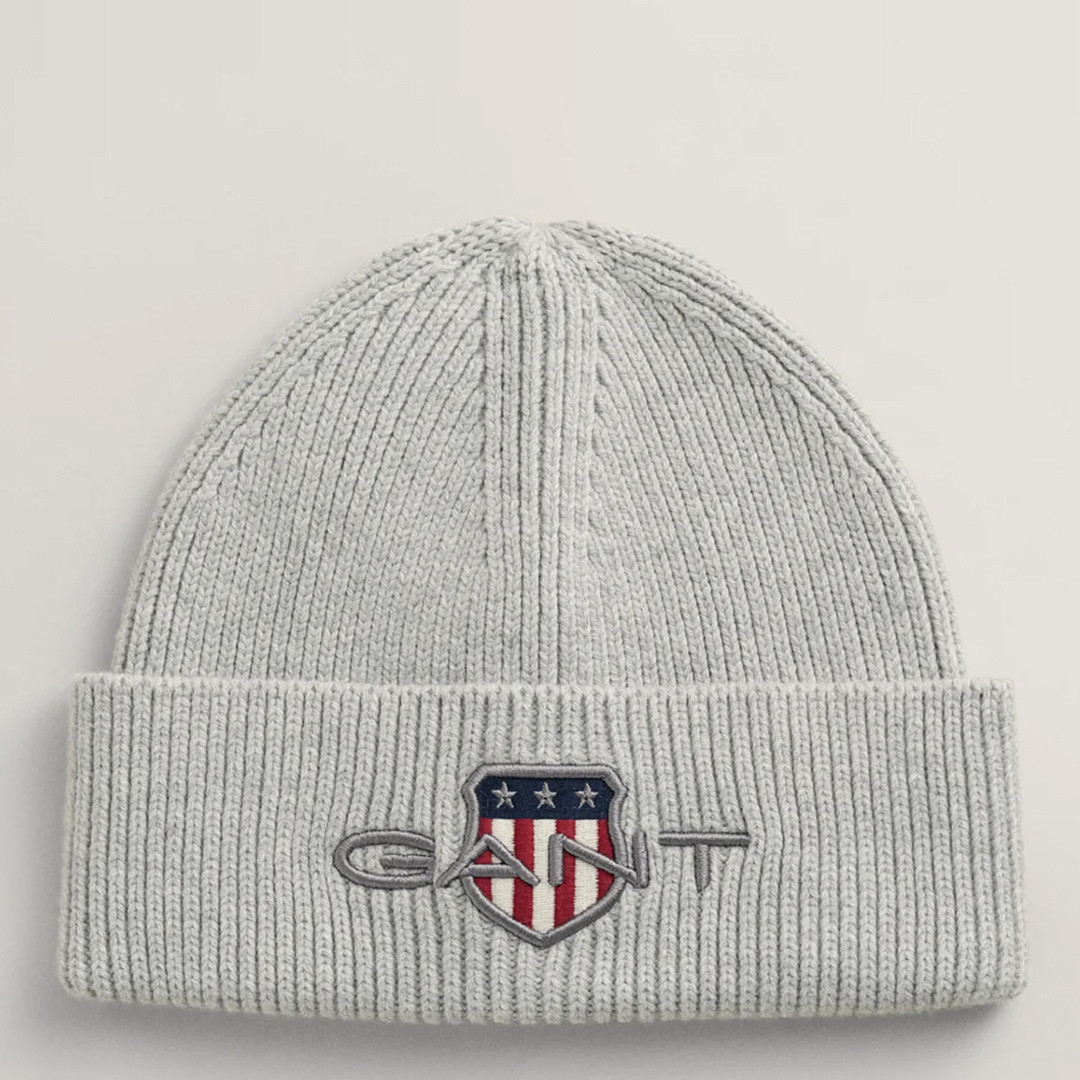 Grey Archive Shield Beanie