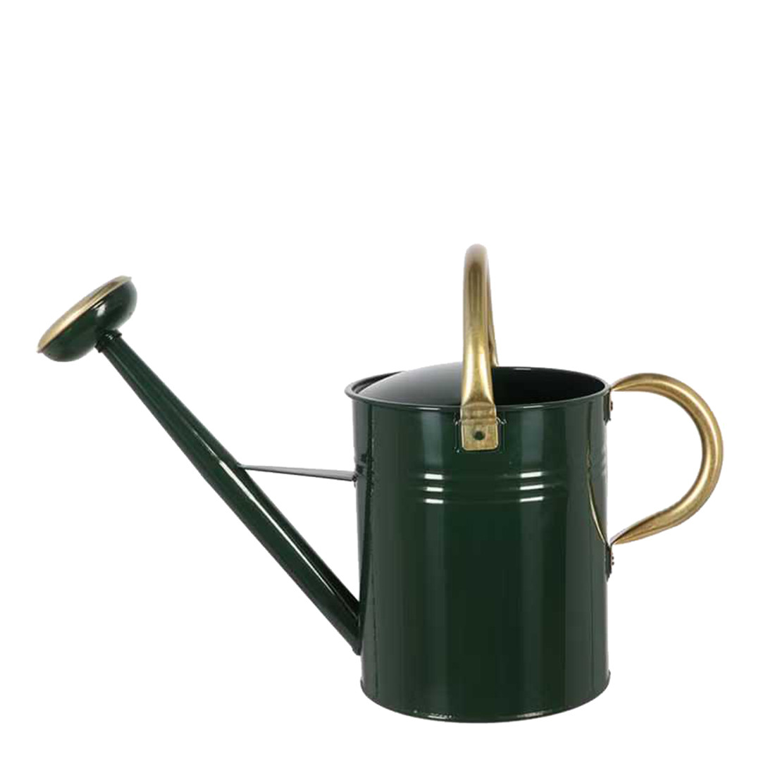 Green Round Handle Watering Can