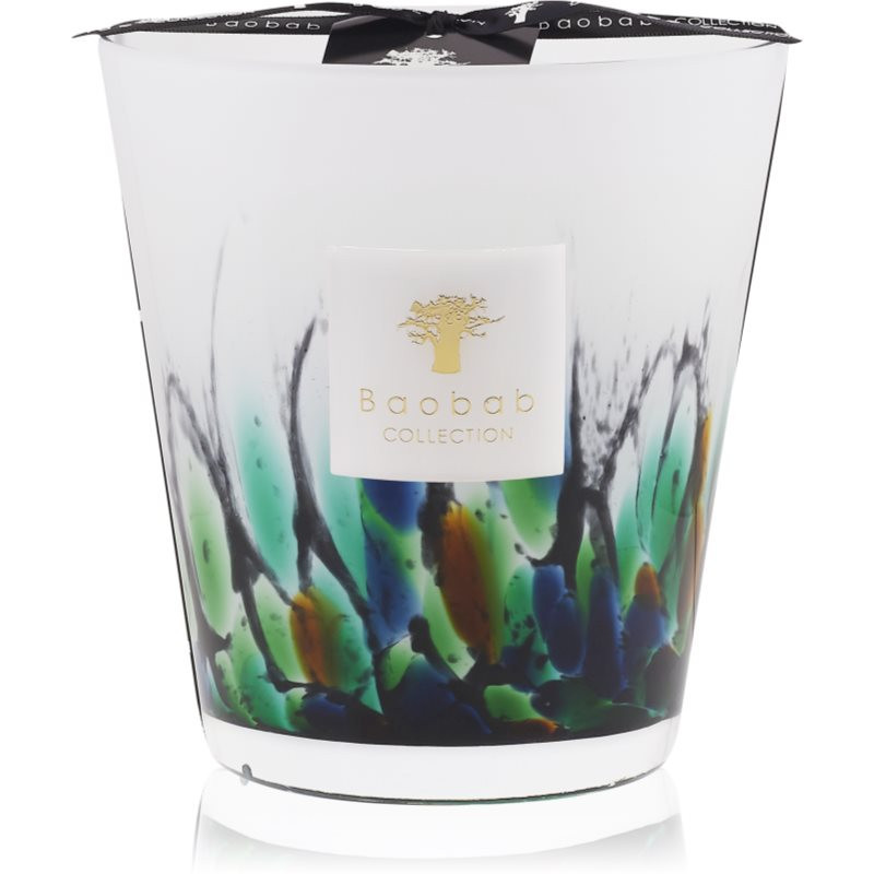 Baobab Collection Rainforest Amazonia scented candle 16 cm