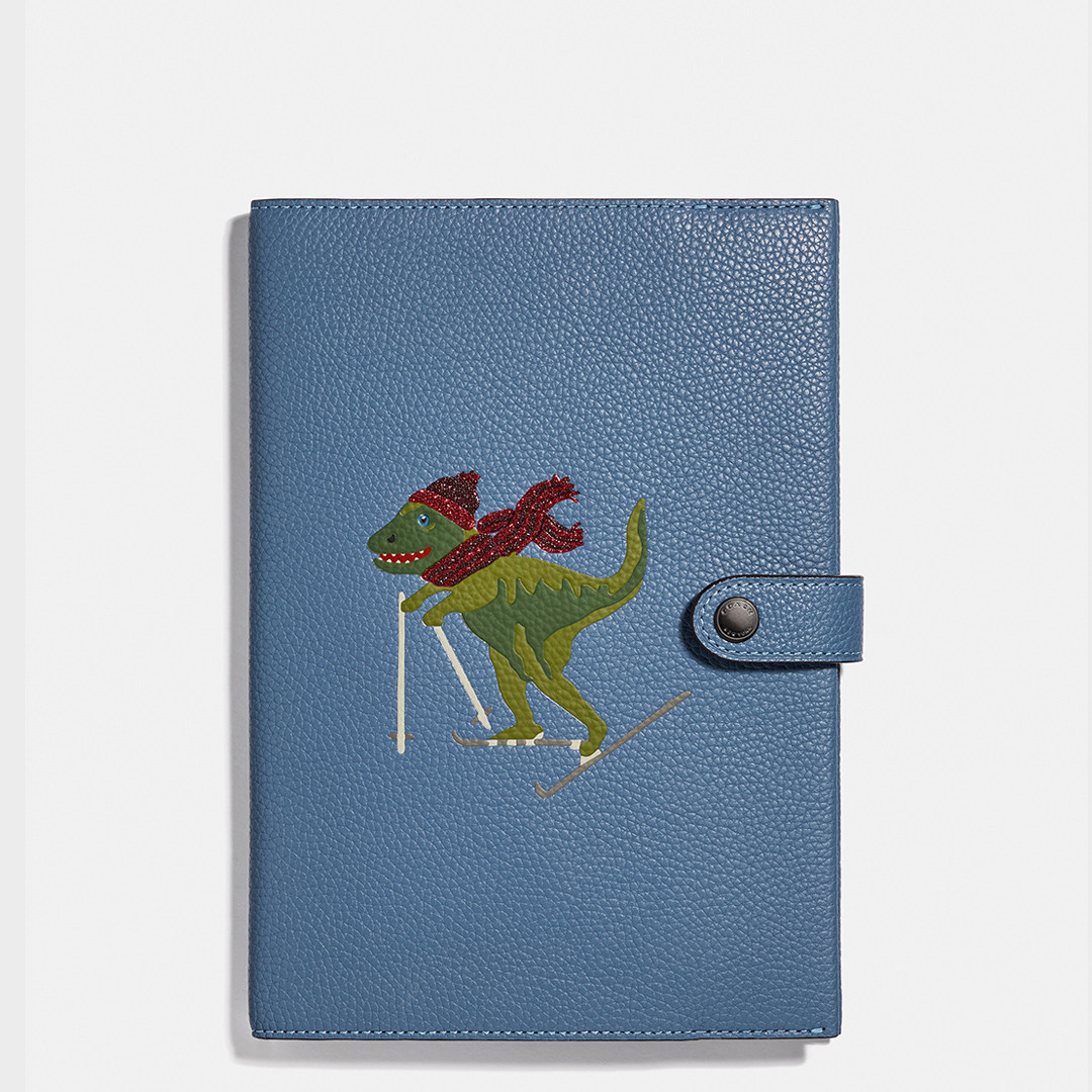Blue Rexy Small Tech Case