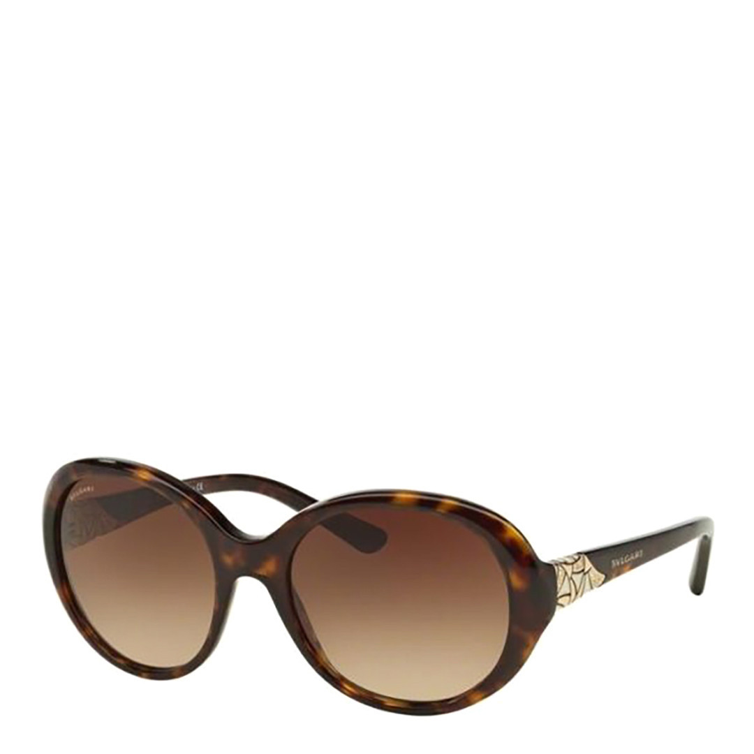 Havana/Brown Bvlgari Women's Sunglasses 55mm