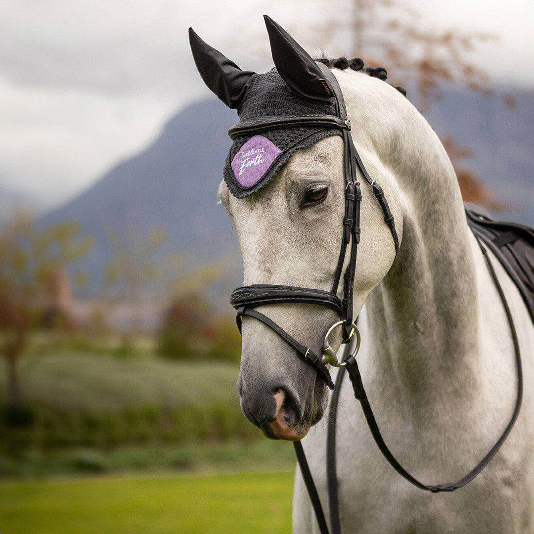 Black/Purple Earth Fly Hood