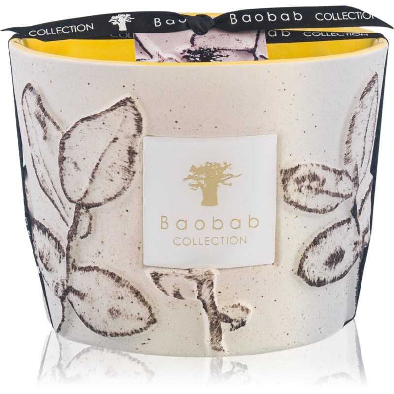 Baobab Collection Folia Calanque scented candle 10 cm