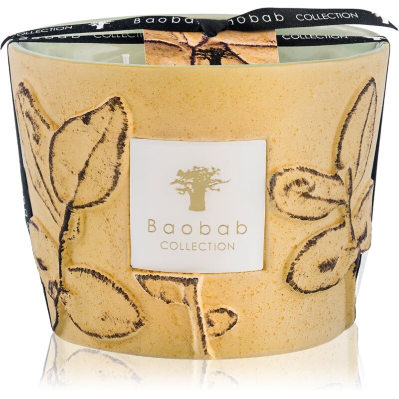 Baobab Collection Folia Garrigue scented candle 10 cm