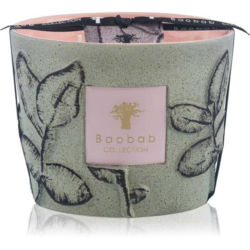 Baobab Collection Folia Maquis scented candle 10 cm