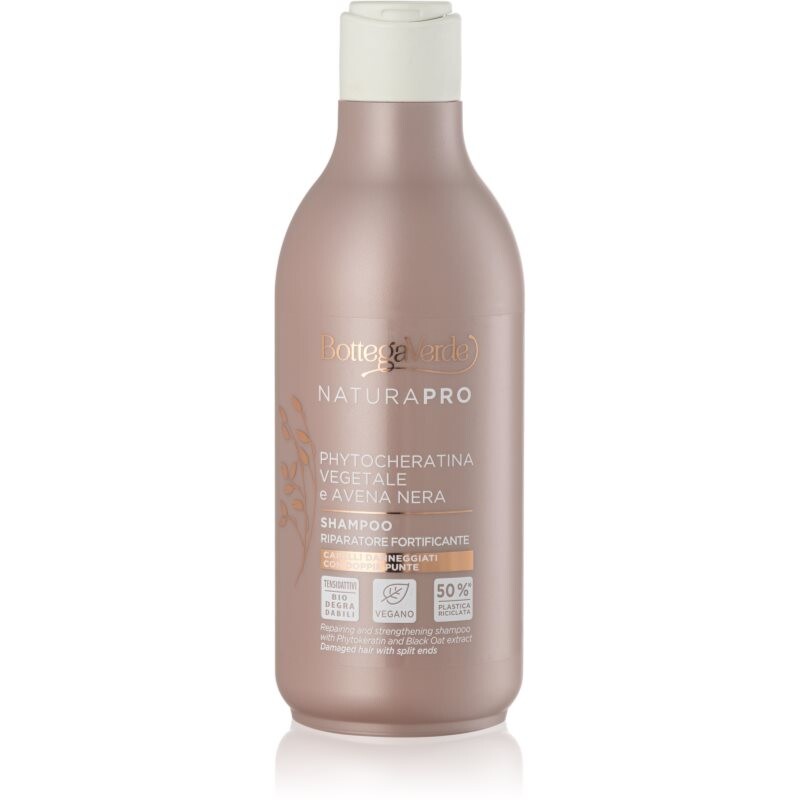 Bottega Verde Zenzero strengthening shampoo for hair 250 ml