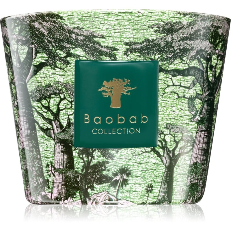 Baobab Collection Sacred Trees Touba scented candle 500 g