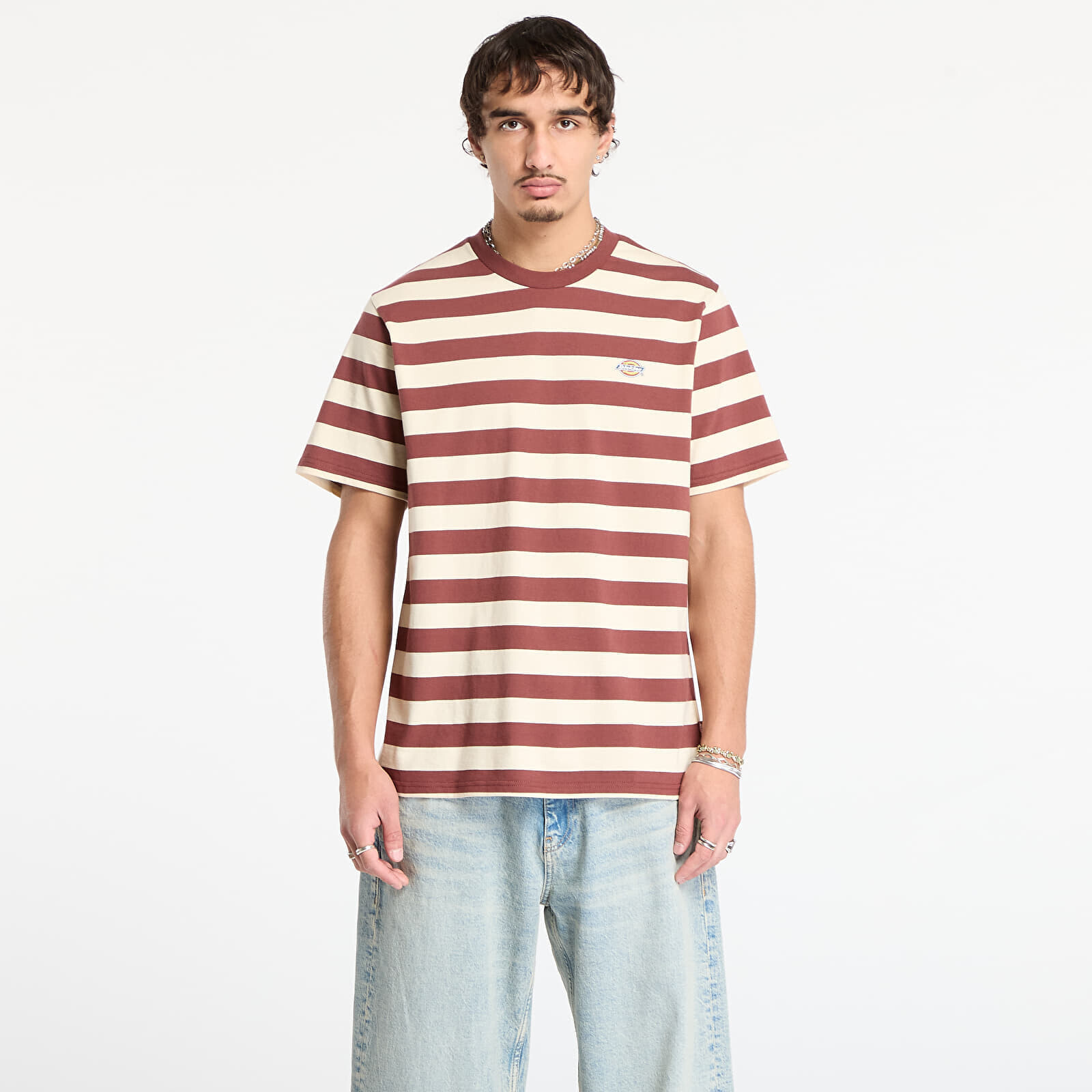 T-shirt Dickies Rivergrove Ss Tee Andorra XXL