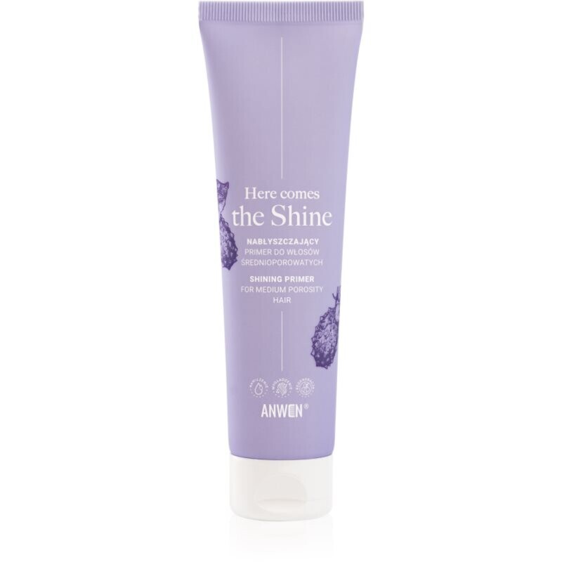 Anwen Here Comes The Shine Shining Primer For Medium Porosity Hair primer for hair 100 ml