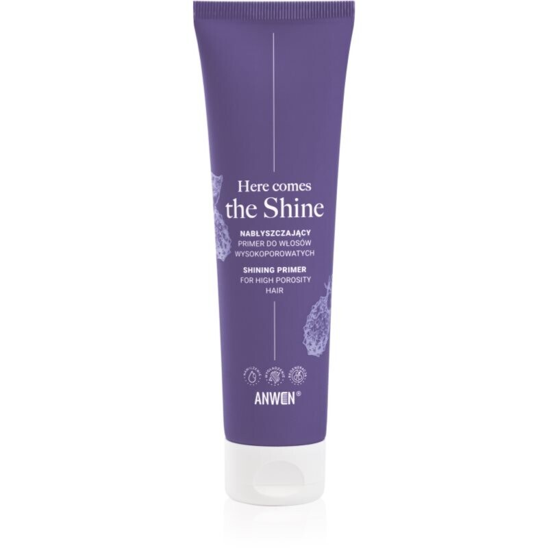 Anwen Here Comes The Shine Shining Primer For High Porosity Hair primer for hair 100 ml
