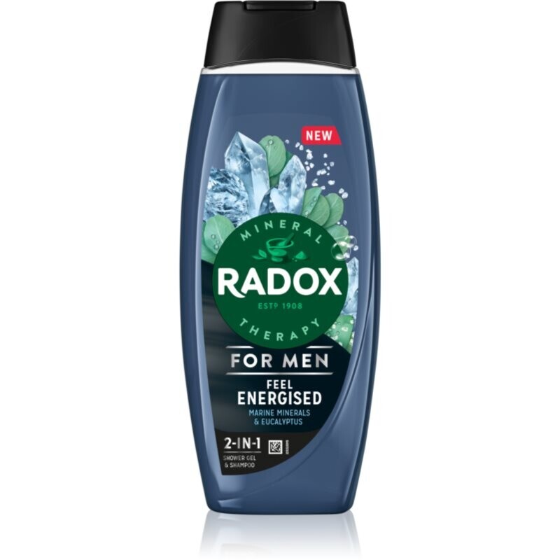 Radox Feel Energised shower gel for men 2-in-1 450 ml