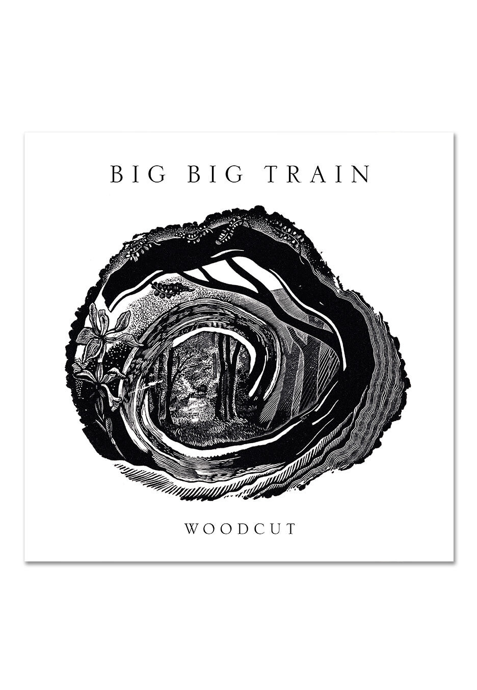 Big Big Train - Woodcut - CD