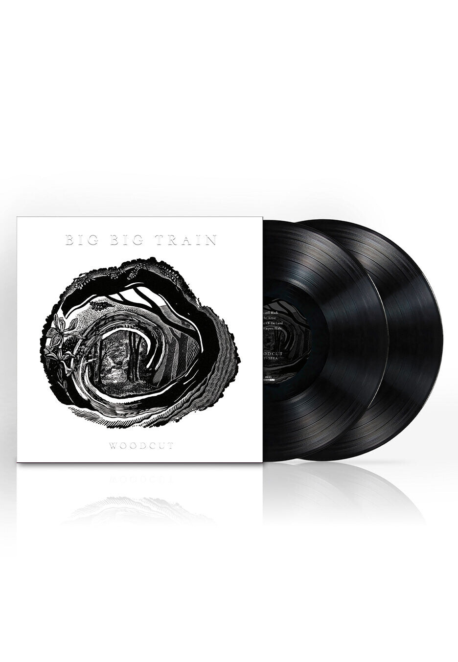 Big Big Train - Woodcut Ltd. Inkwell Black - 2 Vinyl