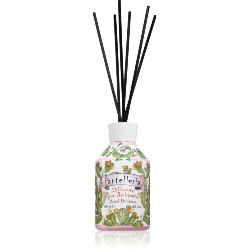 Rudy - Le Maioliche Pantelleria aroma diffuser with filling 250 ml