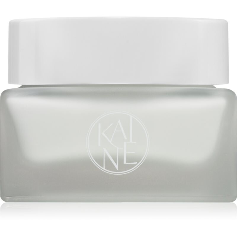 KAINE Vegan Collagen Youth Cream rejuvenating face cream with collagen 50 ml