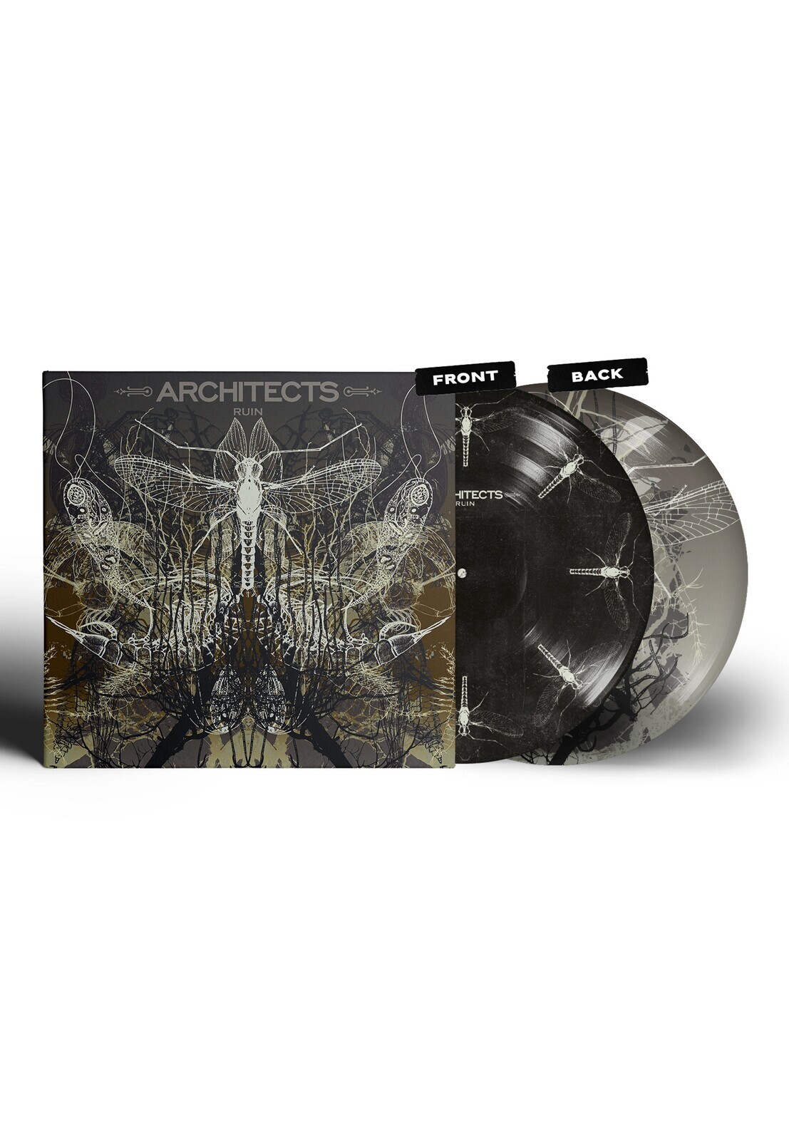 Architects - Ruin - Picture Vinyl