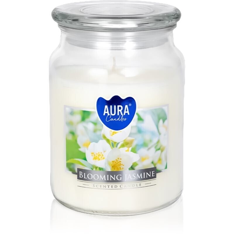 BISPOL Premium Line Jasmine scented candle 500 g