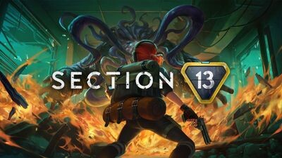 Section 13