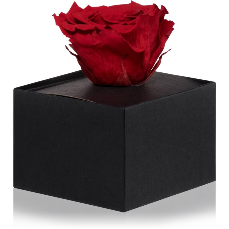 RoseAmor Red stabilised rose in a box 1 pc