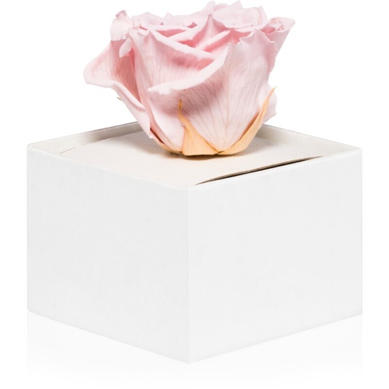 RoseAmor Pink stabilised rose in a box 1 pc